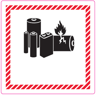 Lithium Battery marking Blanco (new format) 10x10 cm